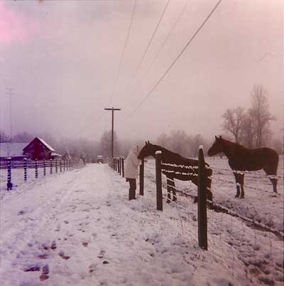 1964 snow in Potter Valley