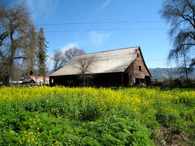 Barn